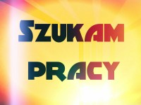 szukam pracy